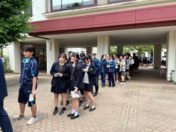 Image (1)